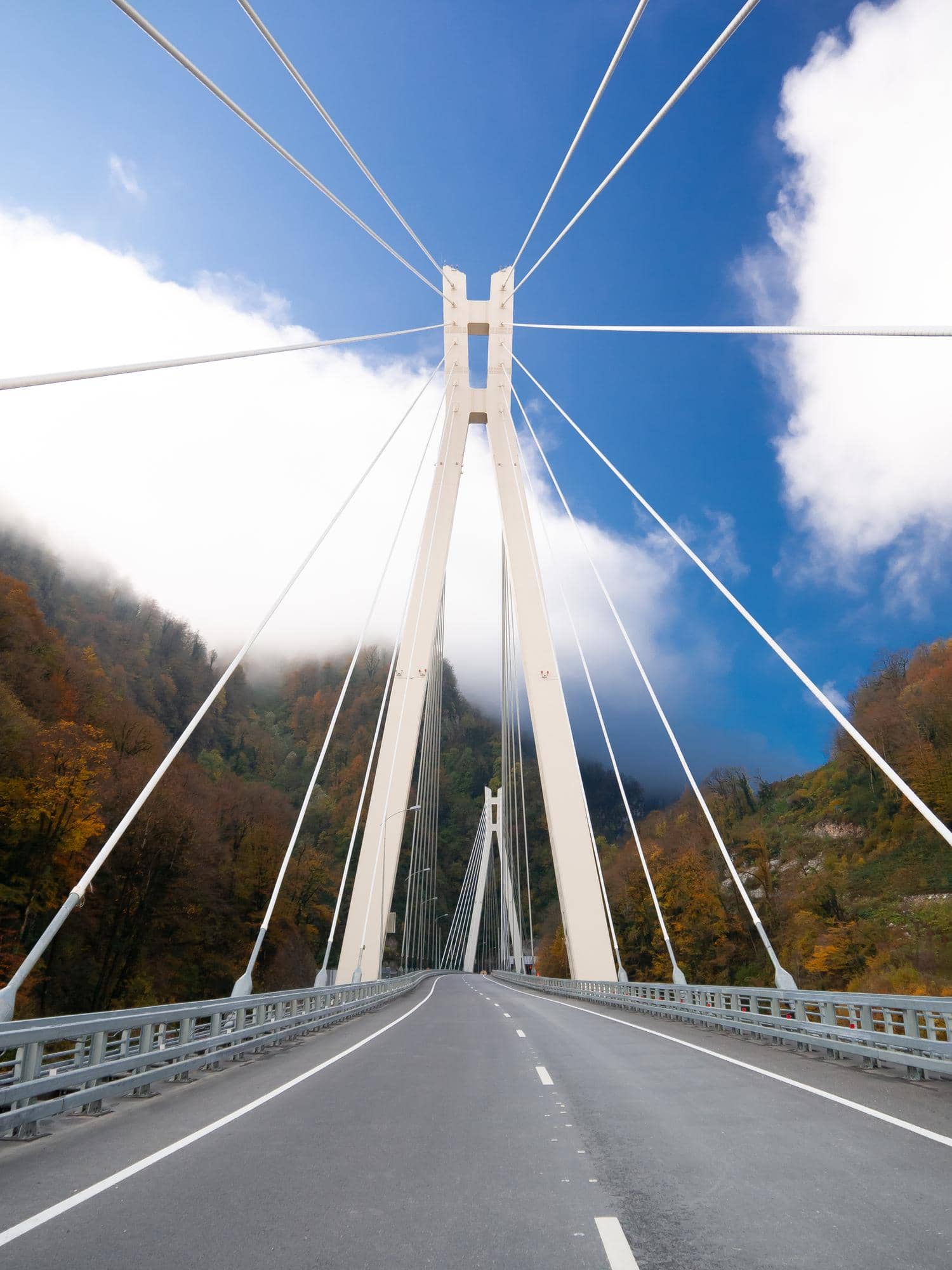 bridge